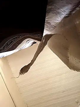 shanicollete online show from 01/15/26, 04:28