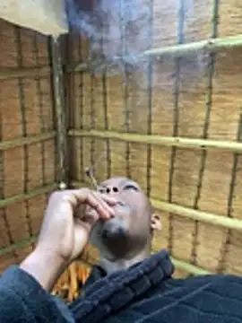 kwandero1234 online show from 01/14/26, 04:07