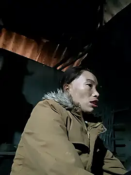 Nllpvp online show from 01/08/26, 02:47