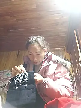 Nllpvp online show from 01/11/26, 02:49