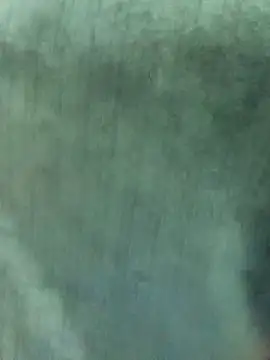 Nooran noona online show from 01/07/26, 09:17