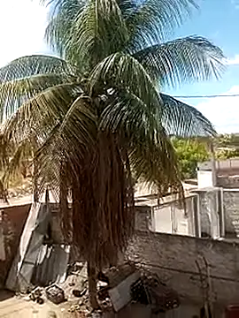 Snapshot of ____gozada---- chatting on 01/09/26, 03:59 gozada---- online show from 01/09/26, 03:59