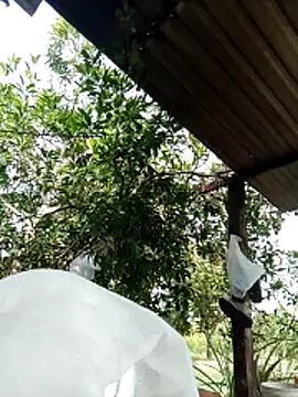 -Nicole-e online show from 02/10/26, 07:12