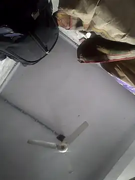 HadDrawers online show from 02/05/26, 07:35