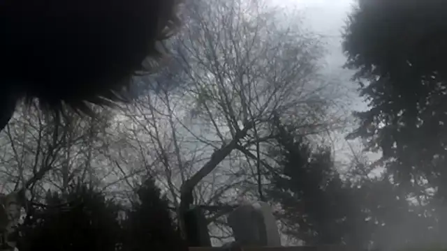 Snapshot of dongoralesko77 chatting on 04/11/26, 10:19 dongoralesko77 online show from 04/11/26, 10:19