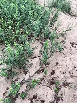 Annalua73 online show from 01/18/26, 06:44