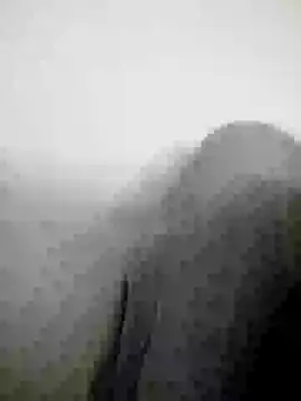 Snapshot of Scook_Gray_ chatting on 04/08/26, 06:08 Scook Gray online show from 04/08/26, 06:08