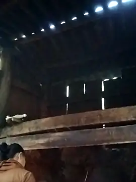 Snapshot of miray- chatting on 03/13/26, 10:33 miray- online show from 03/13/26, 10:33