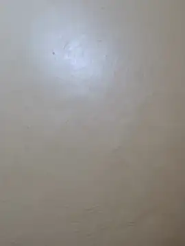 TRACYTOTO26 online show from 02/17/26, 03:58