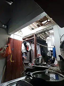 PatriciaGrajales online show from 03/15/26, 04:02