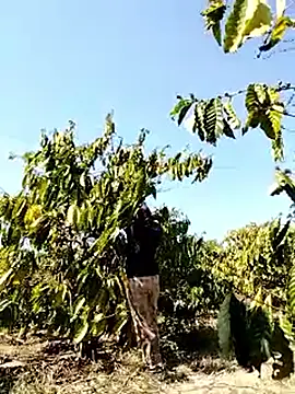 Ginny 2x online show from 03/22/26, 07:34