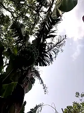 leona118 online show from 04/11/26, 07:45