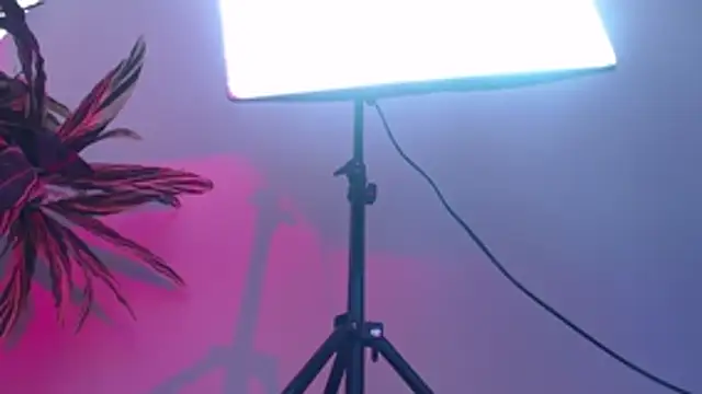 KimiNaru online show from 03/03/26, 04:24