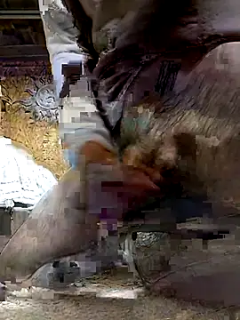 ifuckforreal online show from 02/06/26, 05:16