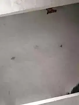 Snapshot of Mafiya0102 chatting on 01/16/26, 05:50 Mafiya0102 online show from 01/16/26, 05:50