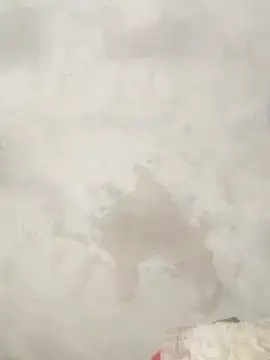 Savi-cute online show from 02/21/26, 12:33