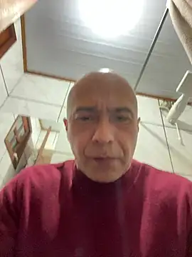 dogfrota online show from 06/12/26, 09:14