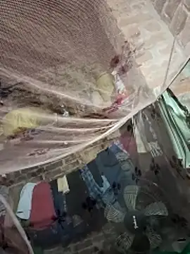 Snapshot of Shivanisingh4 chatting on 03/25/26, 09:32 Shivanisingh4 online show from 03/25/26, 09:32