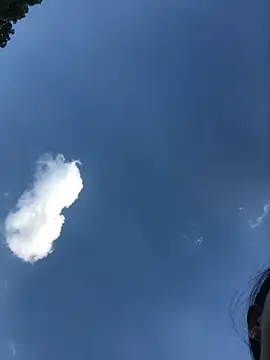 sun-shii online show from 04/09/26, 09:47