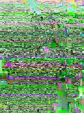 Snapshot of DouDou-- chatting on 06/23/26, 02:37 DouDou-- online show from 06/23/26, 02:37