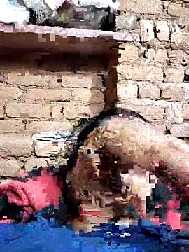 Hot di97 online show from 02/14/26, 08:38