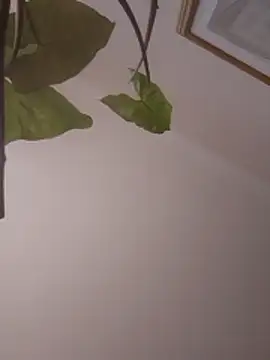 Snapshot of NickoHetero chatting on 01/13/26, 02:11 NickoHetero online show from 01/13/26, 02:11