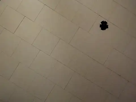 sterng6969 online show from 04/09/26, 08:09