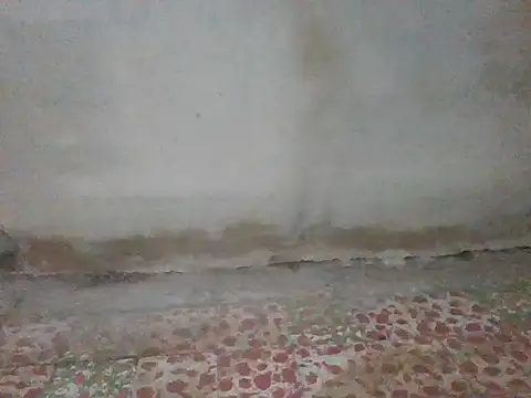 cuerposexy1 online show from 02/20/26, 03:45