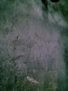 Diana-02 online show from 02/15/26, 08:13