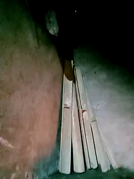 Diana-02 online show from 03/24/26, 11:15