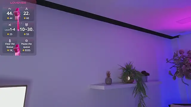 Dakota velvet  online show from 02/05/26, 11:37