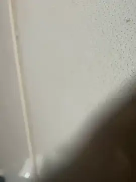 Snapshot of luvis69couple chatting on 04/01/26, 02:47 luvis69couple online show from 04/01/26, 02:47