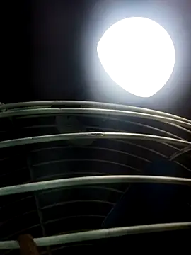 cutee Baby angel online show from 02/20/26, 08:20