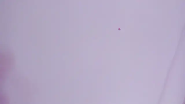 Snapshot of lovely__kiss__ chatting on 03/26/26, 06:13 lovely kiss online show from 03/26/26, 06:13