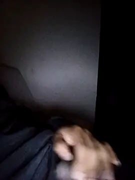 CorrectMusic2 online show from 02/11/26, 09:03