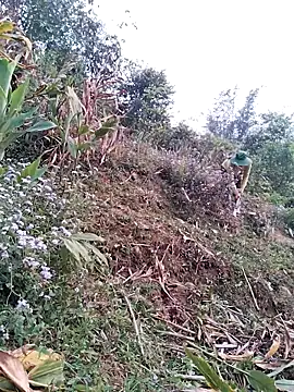 lia-coy online show from 04/15/26, 12:50