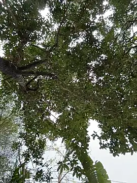 Snapshot of IceMur chatting on 02/23/26, 03:04 IceMur online show from 02/23/26, 03:04