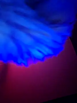 dewimp1 online show from 02/06/26, 06:18