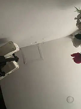 Snapshot of JuliaaVega chatting on 04/11/26, 11:14 JuliaaVega online show from 04/11/26, 11:14