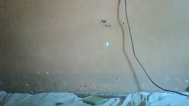 Snapshot of Sexyass100 chatting on 04/17/26, 10:07 Sexyass100 online show from 04/17/26, 10:07