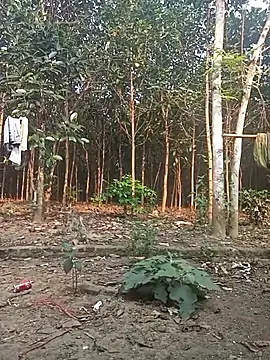 Snapshot of Nuna_689 chatting on 03/31/26, 09:21 Nuna 689 online show from 03/31/26, 09:21