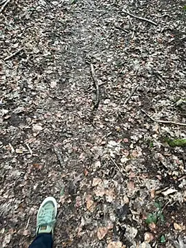 Snapshot of tony3729 chatting on 02/28/26, 11:22 tony3729 online show from 02/28/26, 11:22