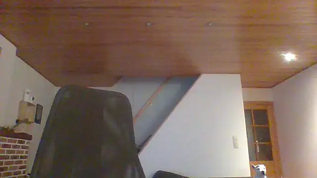 Snapshot of ludowrss chatting on 05/17/26, 03:37 ludowrss online show from 05/17/26, 03:37