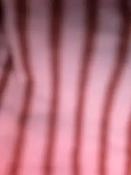 Snapshot of Heo_xxinhxx chatting on 04/14/26, 11:11 Heo xxinhxx online show from 04/14/26, 11:11