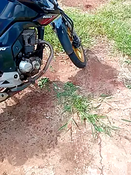 Snapshot of negrim10 chatting on 02/10/26, 12:31 negrim10 online show from 02/10/26, 12:31