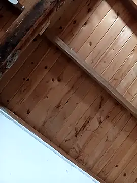 luna pinky online show from 03/01/26, 04:42