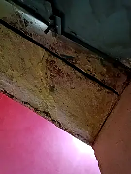 Riyakumari hot66 online show from 04/17/26, 12:57