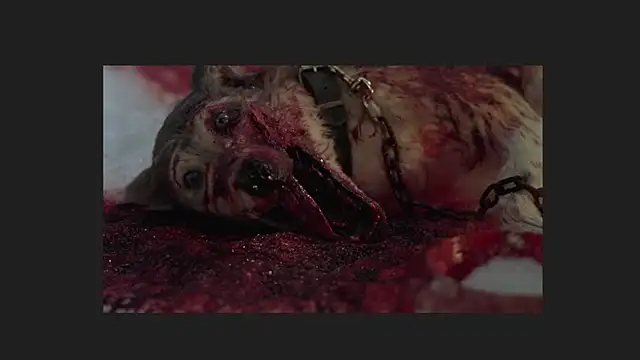 Snapshot of lil_monikaa chatting on 04/12/26, 01:54 lil monikaa online show from 04/12/26, 01:54