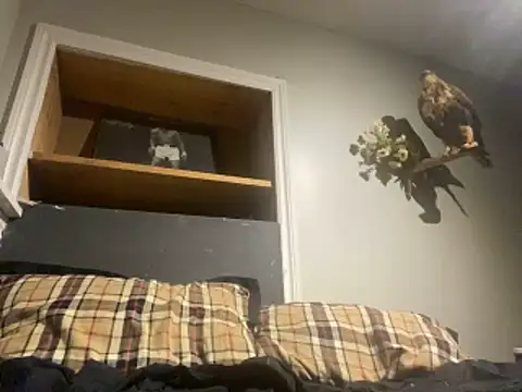 yourwhiteboy1 online show from 03/01/26, 03:08