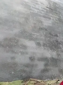 Sgs594802799 online show from 04/02/26, 01:20